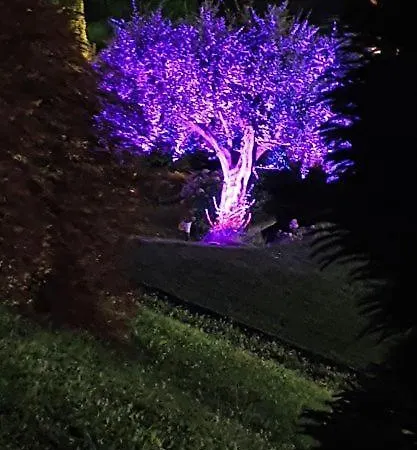 Apartment Lakeside Bellagio